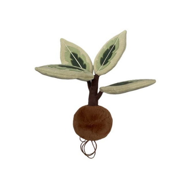 PLUSH FOREST Ficus Elastica
