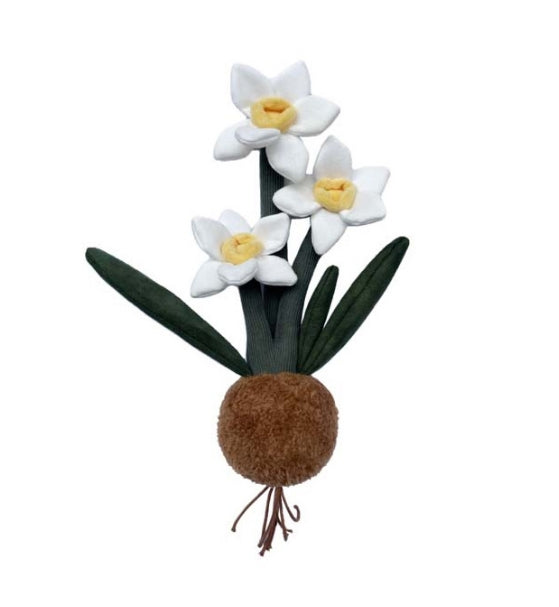PLUSH FOREST Narcissus