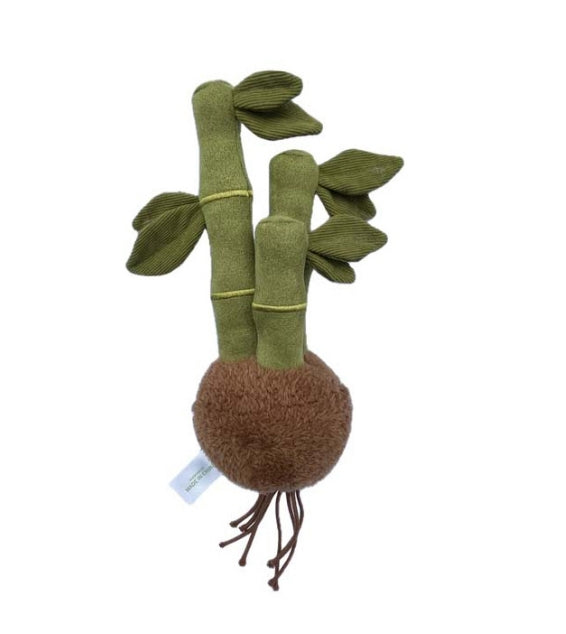 PLUSH FOREST Lucky Bamboo