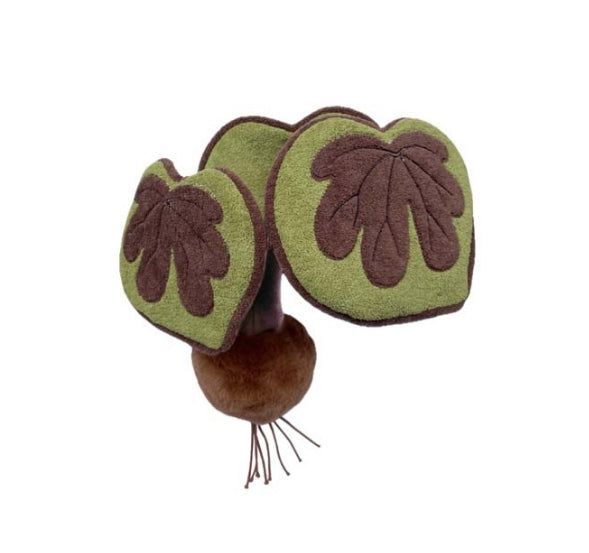 PLUSH FOREST Begonia Chlorosticta