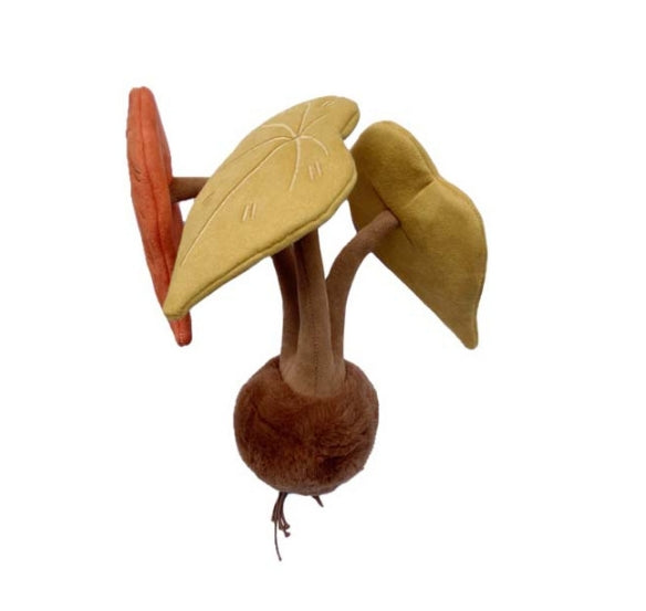 PLUSH FOREST The Radiant Begonia of Autumn