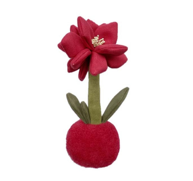 PLUSH FOREST barbadoslily